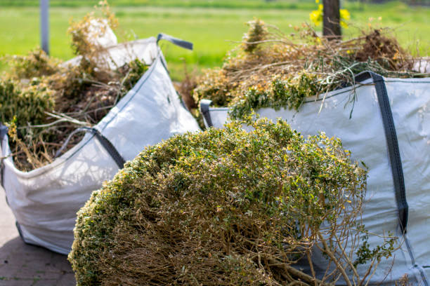 Best Electronics Removal Services  in East Grand Rapids, MI